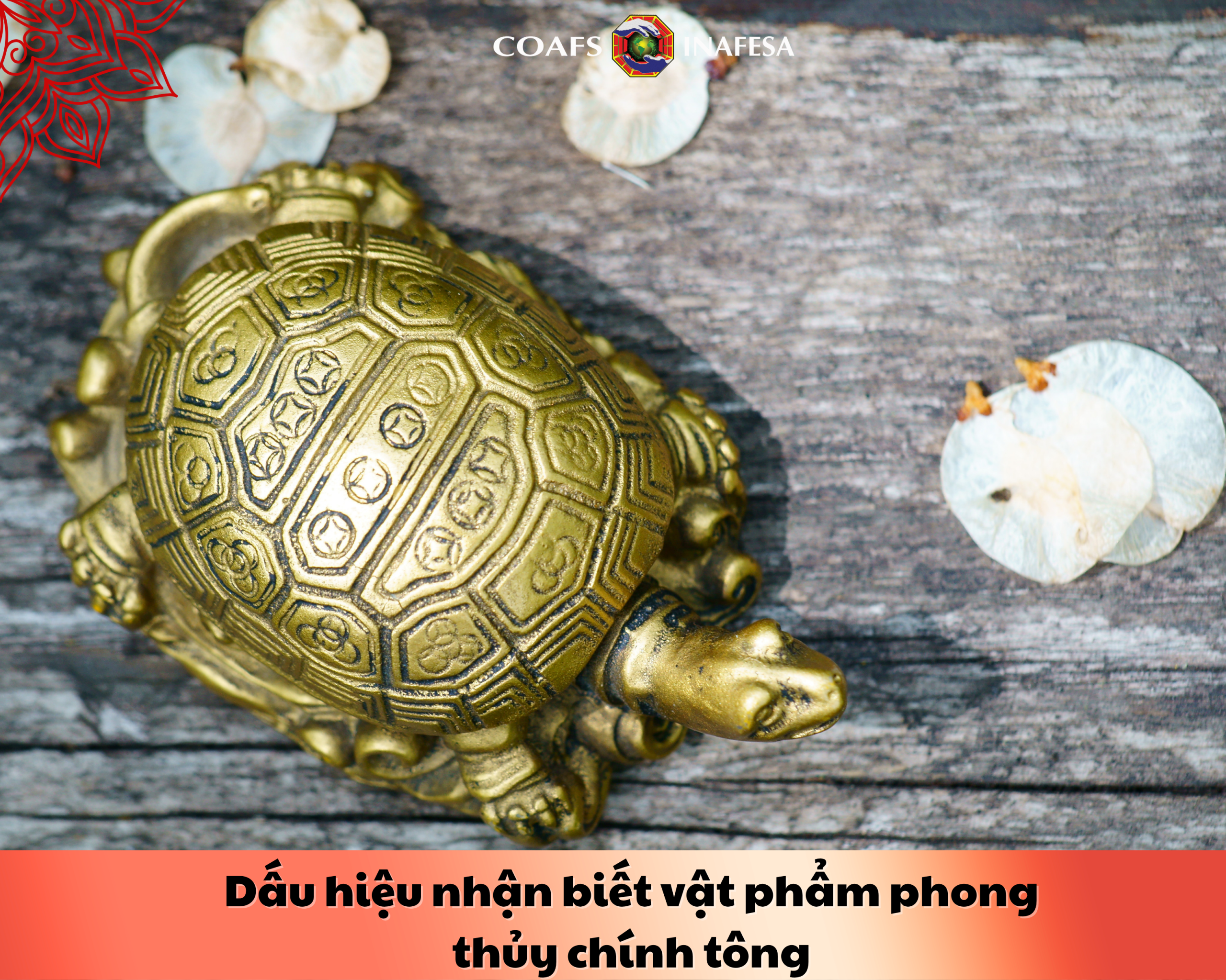 Dấu hiệu nhận biết vật phẩm phong thủy chính tông