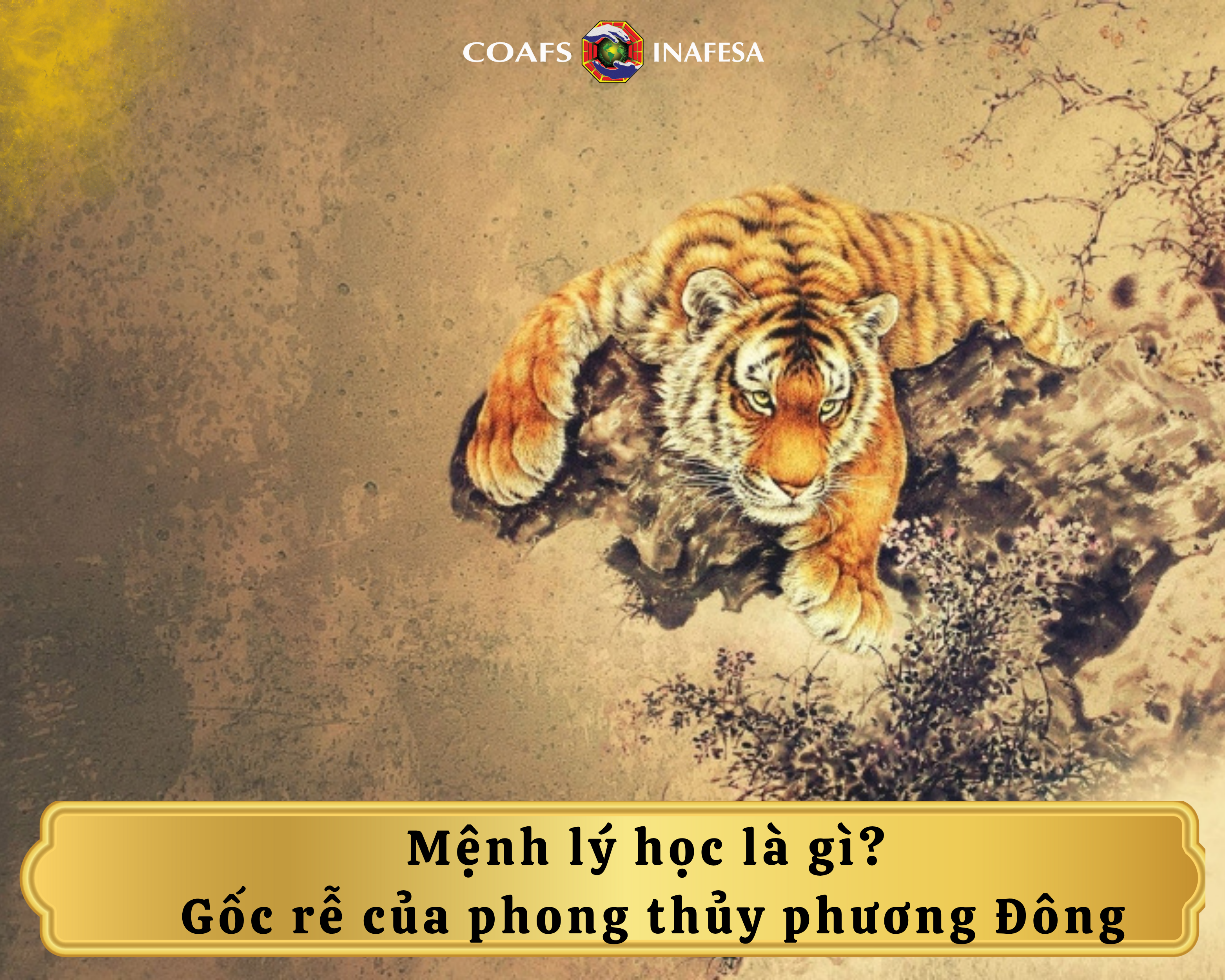 Mệnh lý học là gì? Gốc rễ của phong thủy phương Đông