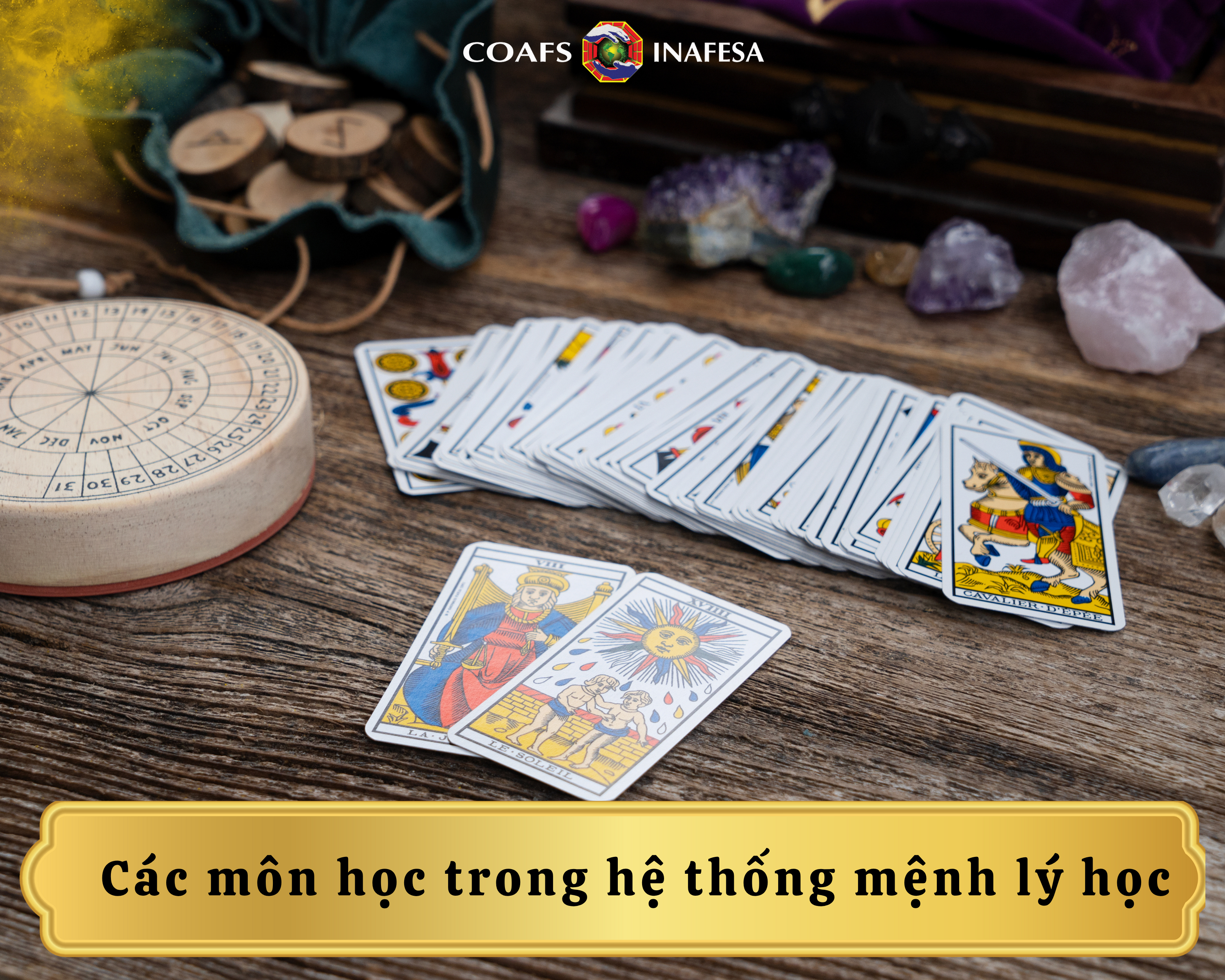 Các môn học trong hệ thống mệnh lý học