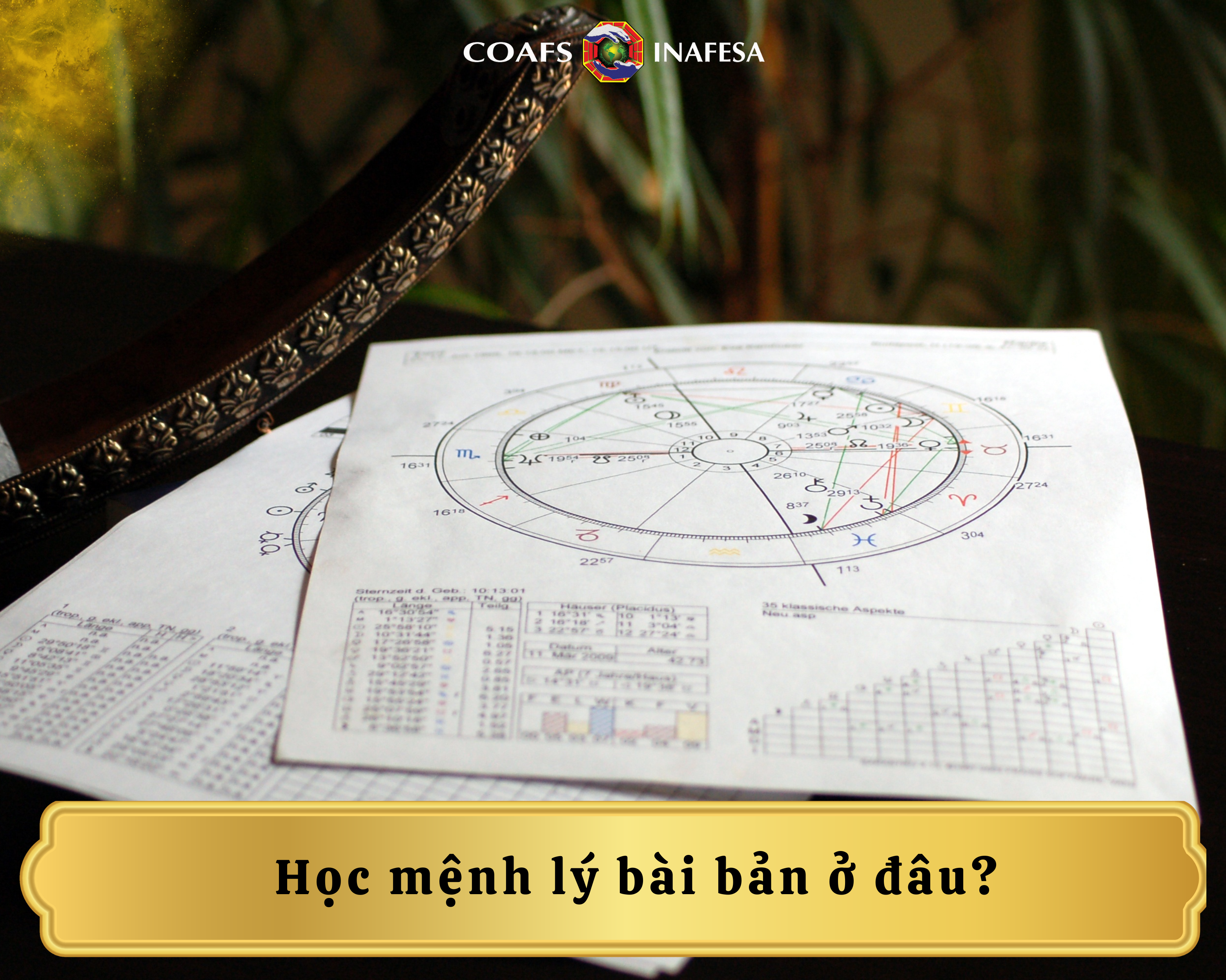 Học mệnh lý bài bản ở đâu?