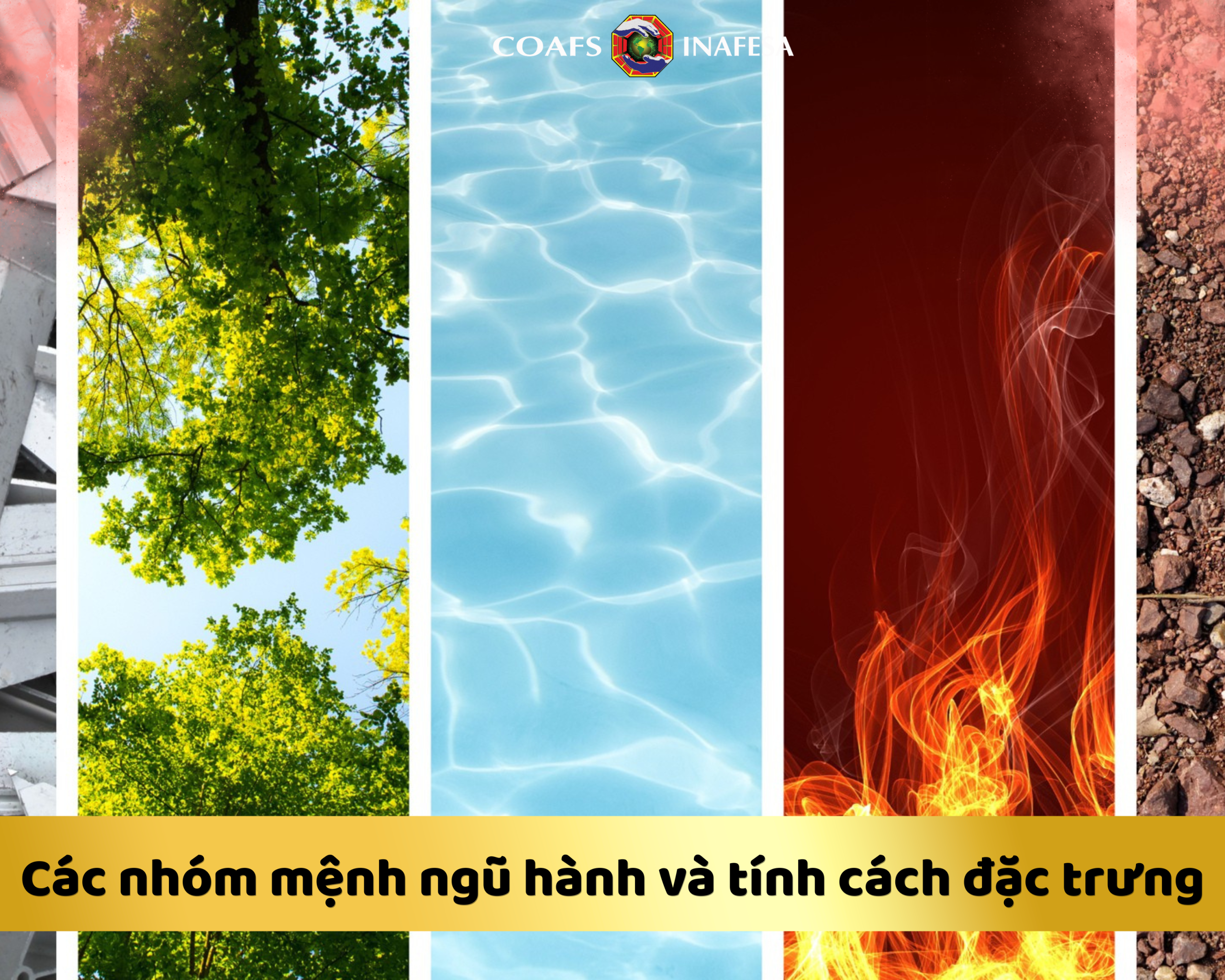Các nhóm mệnh ngũ hành và tính cách đặc trưng
