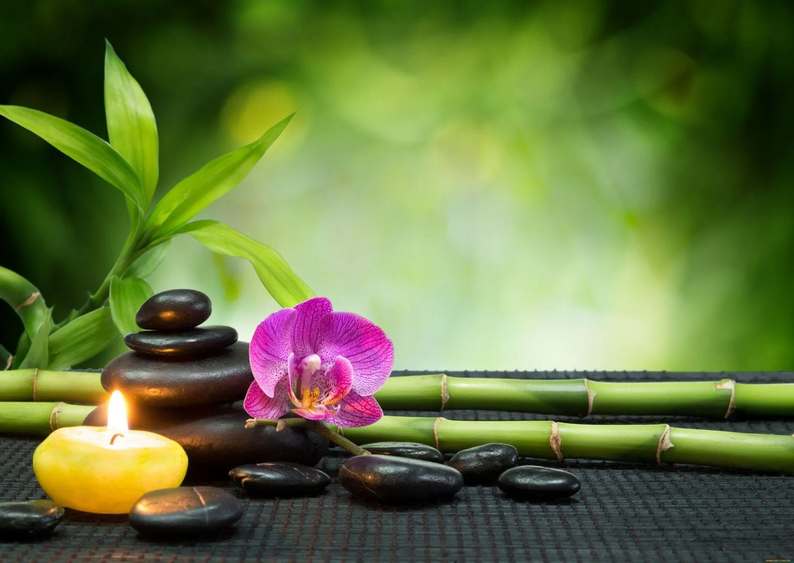 Phong Thủy – Môn Khoa Học Mang Nhiều Ý Nghĩa Cho Cuộc Sống