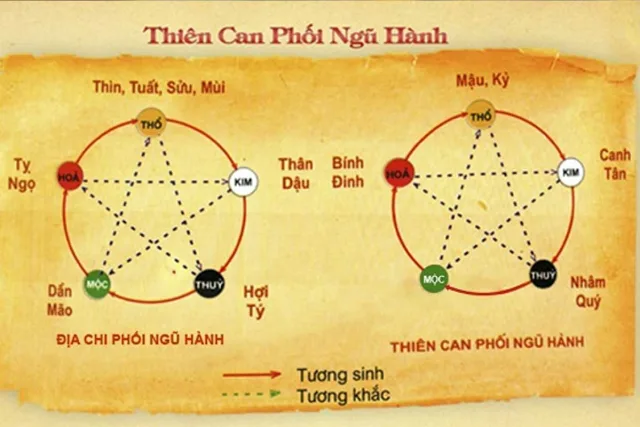 TRI THỨC CƠ BẢN VỀ TỨ TRỤ