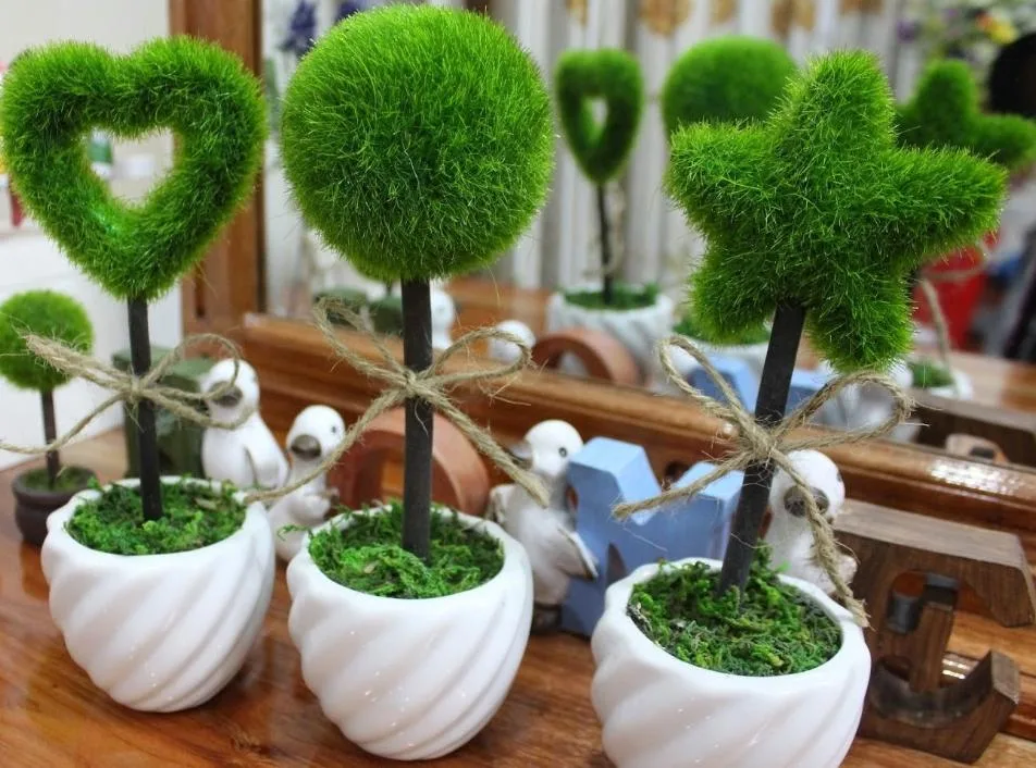 Những Gợi Ý Phong Thủy Ngày Tết Mang Lại Nhiều May Mắn