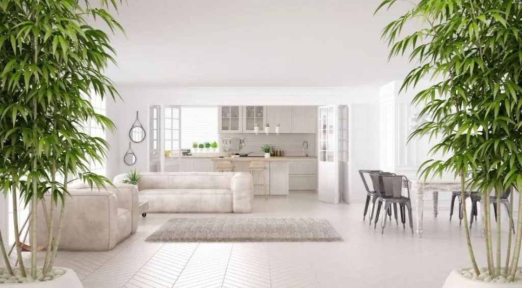 Hướng Dẫn Cách Tự Xem Phong Thủy Cho Căn Nhà Của Mình