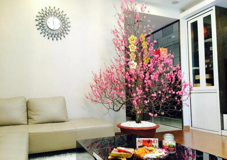 Những Gợi Ý Phong Thủy Ngày Tết Mang Lại Nhiều May Mắn