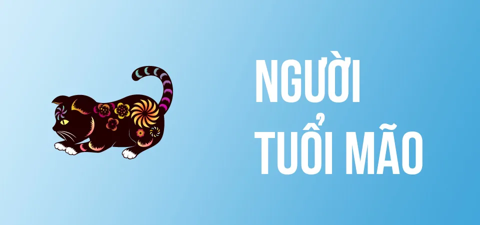 Hướng Dẫn Cách Tự Xem Phong Thủy Cho Căn Nhà Của Mình