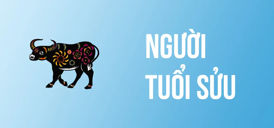 Hướng Dẫn Cách Tự Xem Phong Thủy Cho Căn Nhà Của Mình