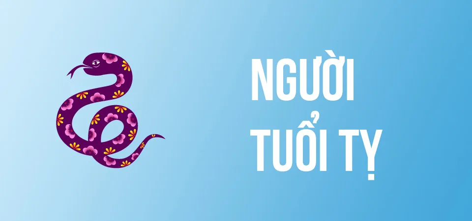 Hướng Dẫn Cách Tự Xem Phong Thủy Cho Căn Nhà Của Mình