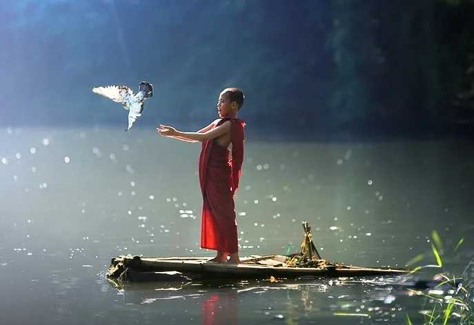Tâm Chứa Điều Gì, Cuộc Đời Sẽ Kết Duyên Gắn Bó Với Điều Đó, Gọi Là “Cảnh Tự Tâm Sinh”